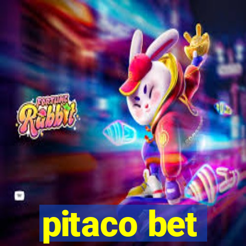 pitaco bet